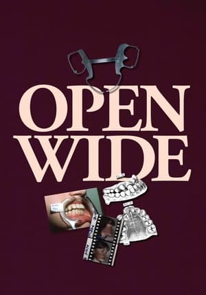 Open Wide en streaming