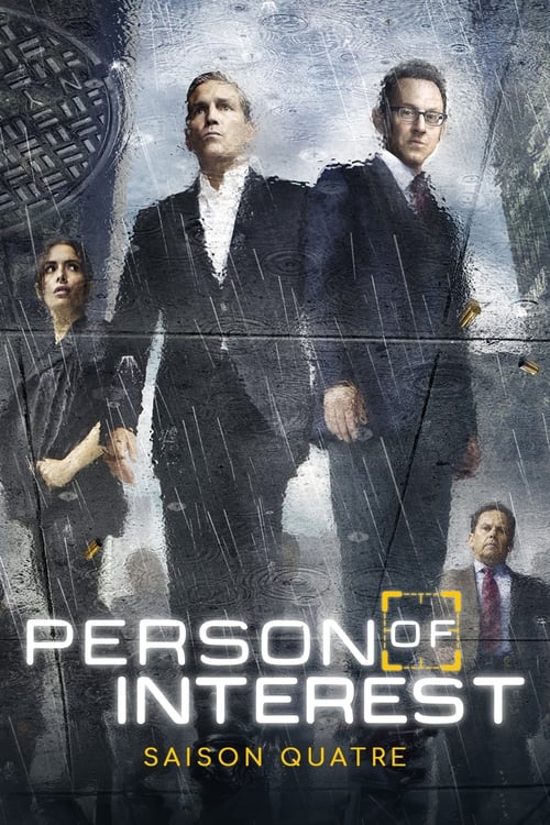 Person Of Interest en streaming