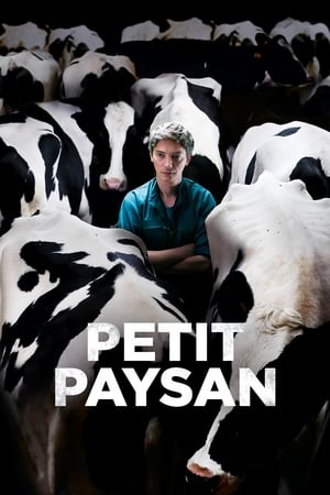 Petit Paysan en streaming