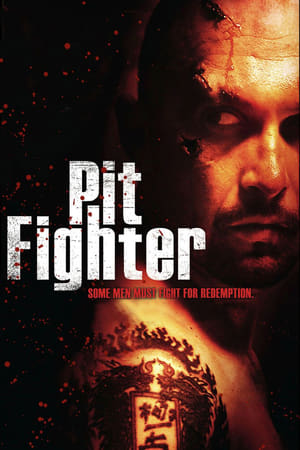 Pit Fighter - Combattant clandestin en streaming