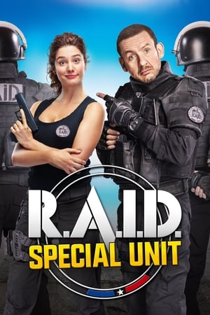 RAID Dingue en streaming