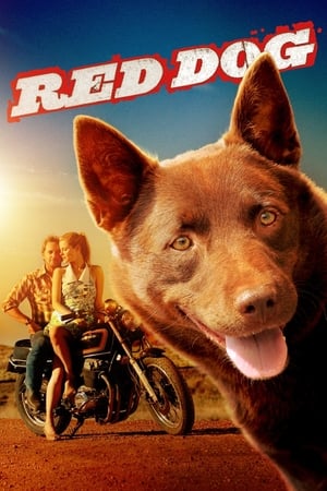 Red Dog en streaming