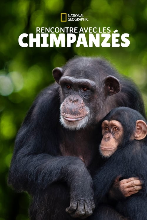 Rencontre avec les chimpanzés (Meet the Chimps) en streaming