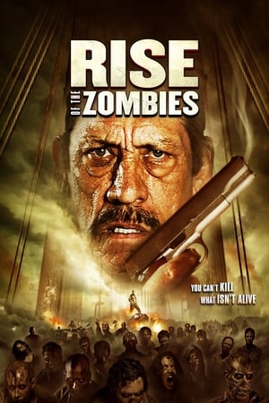 Rise of the Zombies en streaming