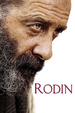 Rodin en streaming