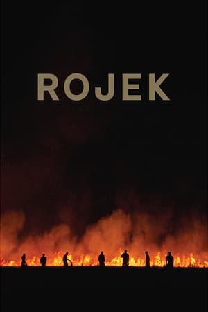 Rojek en streaming