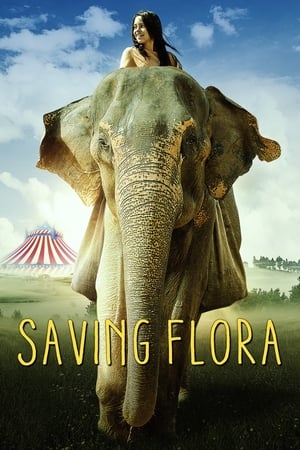 Sauvez Flora l'éléphant en streaming