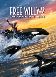 Sauvez Willy 2 en streaming