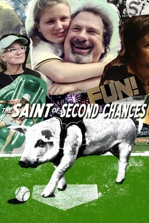 Secondes chances : Le baseball, c'est sacré ! en streaming