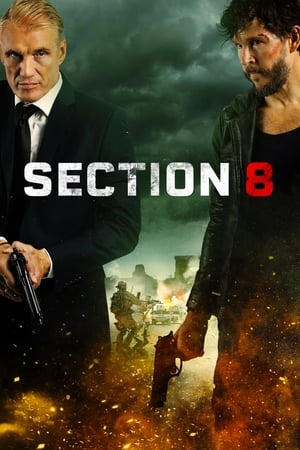 Section 8 en streaming