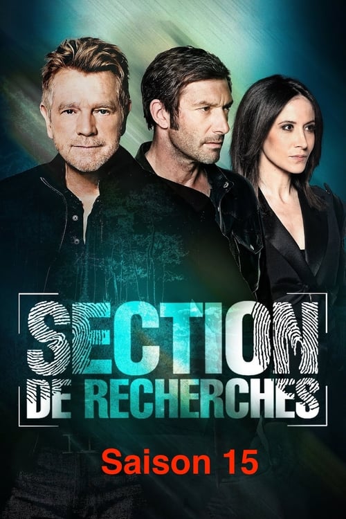 Section de Recherches - Saison 15 en streaming