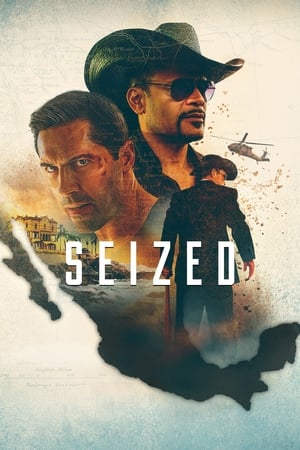 Seized en streaming