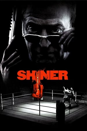 Shiner en streaming