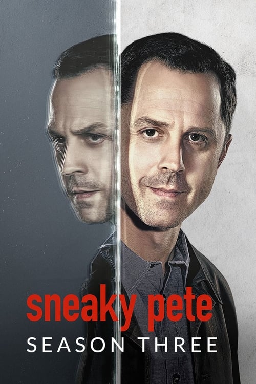 Sneaky Pete en streaming