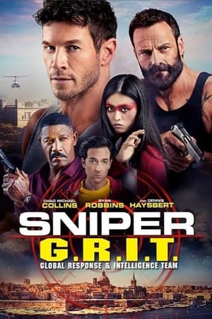 Sniper: G.R.I.T. en streaming