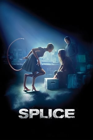 Splice en streaming