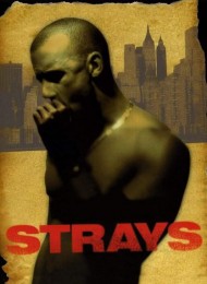 Strays en streaming