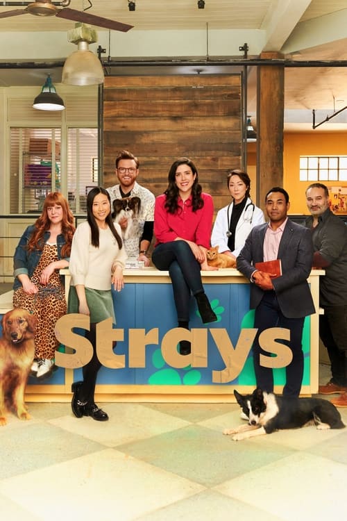 Strays en streaming