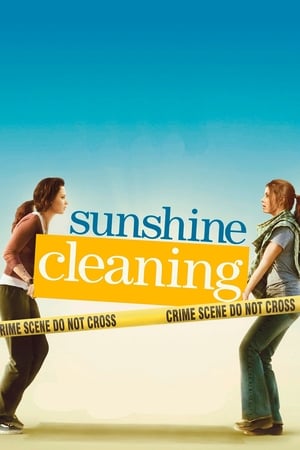 Sunshine Cleaning en streaming