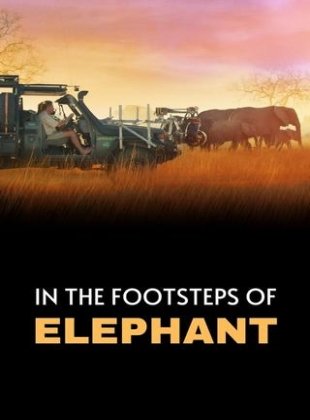 Sur La Route Des éléphants en streaming