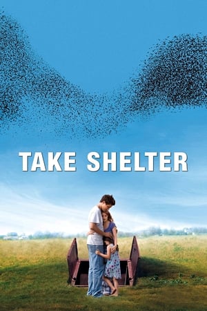 Take Shelter en streaming