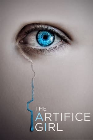 The Artifice Girl en streaming