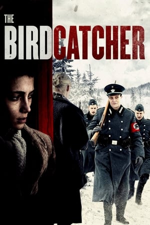 The Birdcatcher en streaming