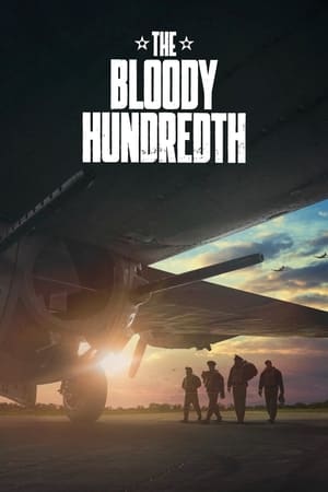 The Bloody Hundredth : la 100e escadre en streaming