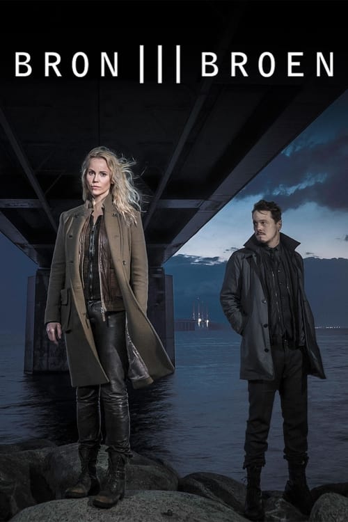 The Bridge (2011) - Saison 3