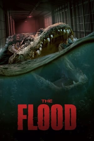 The Flood en streaming