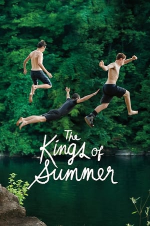 The Kings Of Summer en streaming