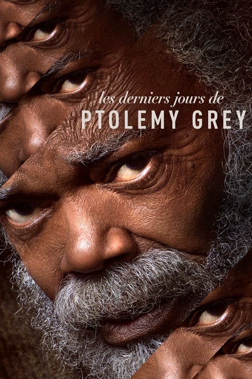 Les Derniers Jours de Ptolemy Grey en streaming