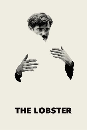 The Lobster en streaming