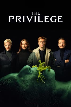 The Privilege en streaming