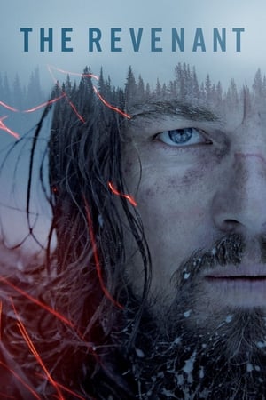 The Revenant en streaming