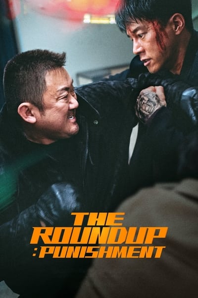 The Roundup: Punishment en streaming