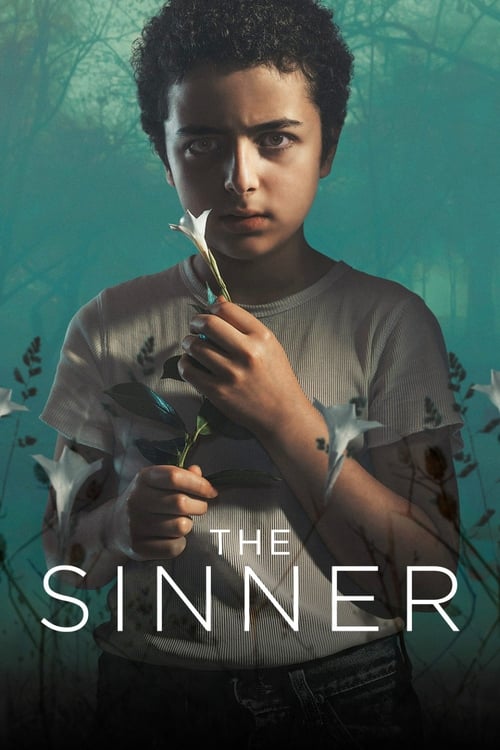 The Sinner - Saison 2 en streaming