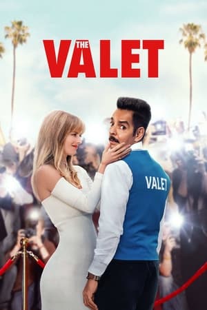 The Valet en streaming