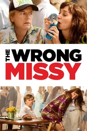 The Wrong Missy en streaming