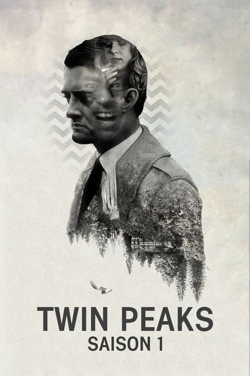 Twin Peaks - Saison 1 en streaming