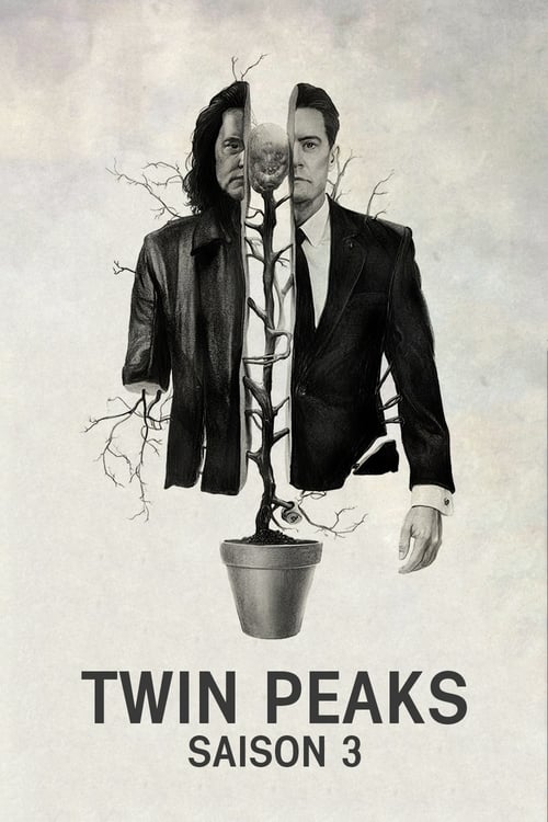 Twin Peaks - Saison 3 épisode 8 en streaming