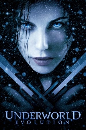 Underworld 2 - Evolution en streaming