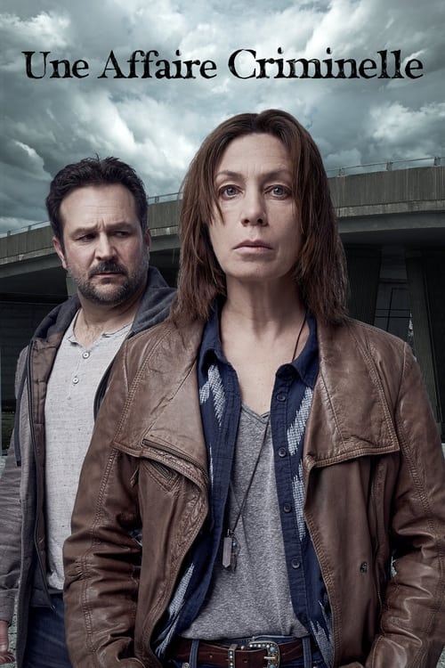 Une Affaire Criminelle - Saison 1 en streaming