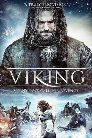 Viking, la naissance d'une nation en streaming