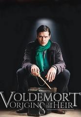 Voldemort: Origins of the Heir en streaming