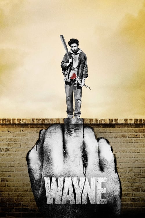 Wayne - Saison 1 en streaming