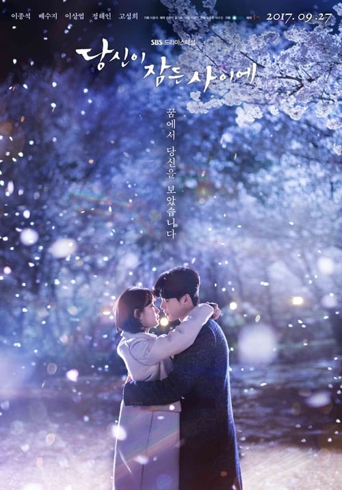 While You Were Sleeping - Saison 1 en streaming