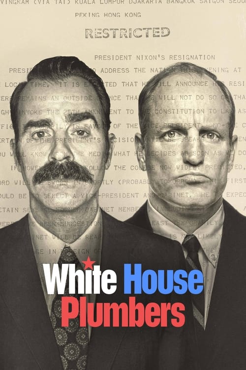 White House Plumbers en streaming