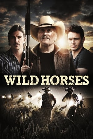 Wild Horses en streaming