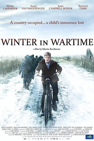 Winter in Wartime en streaming